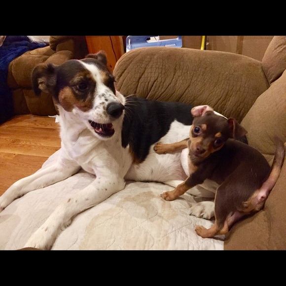 Meet your Posher, Danielle - Picture 13 of 16